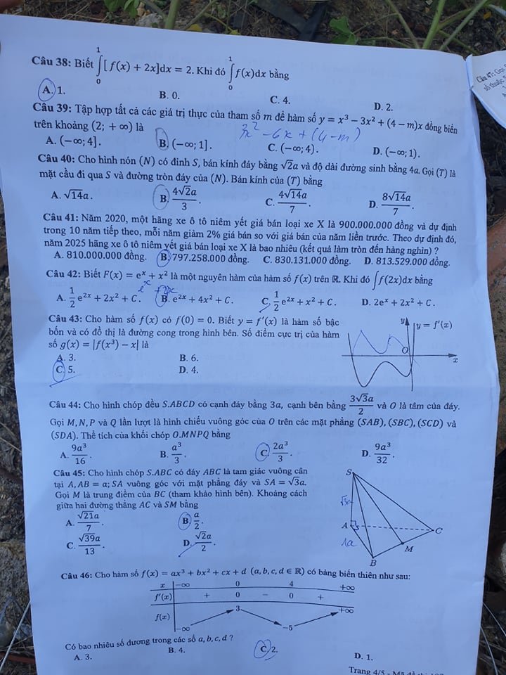 118615491_2010803109055319_8186261041114833362_n