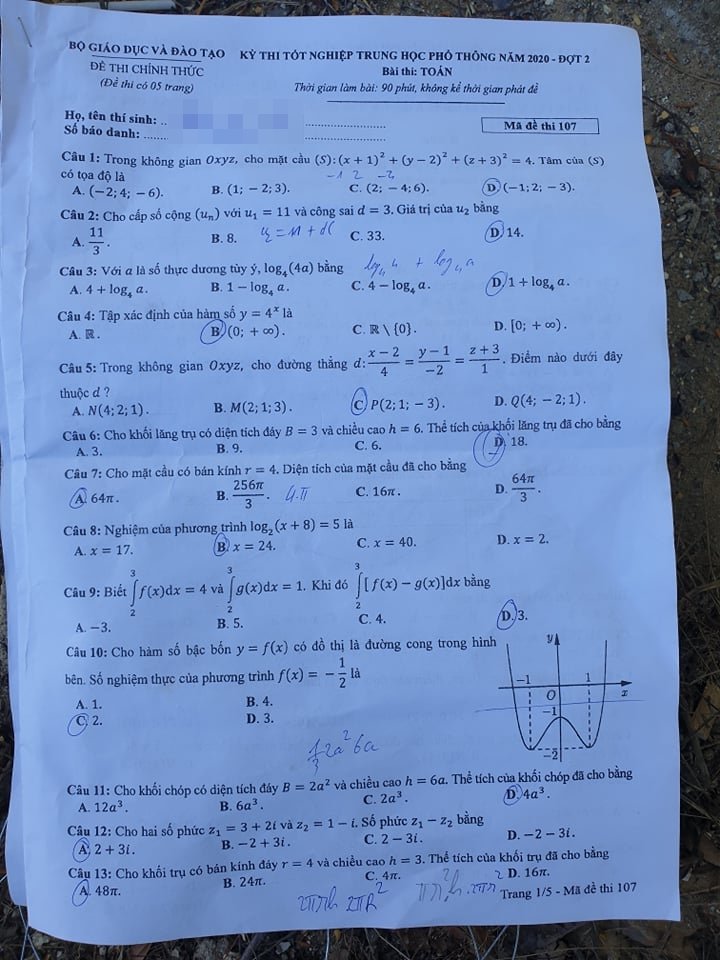 118681823_392466545069837_6307875097147048188_n