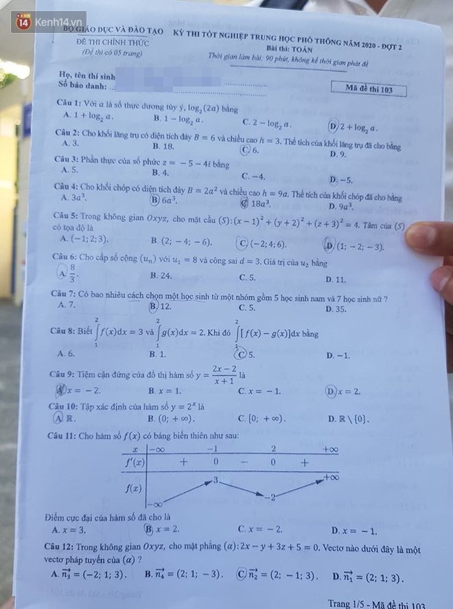 118701088_253846742346234_608949985129467481_n