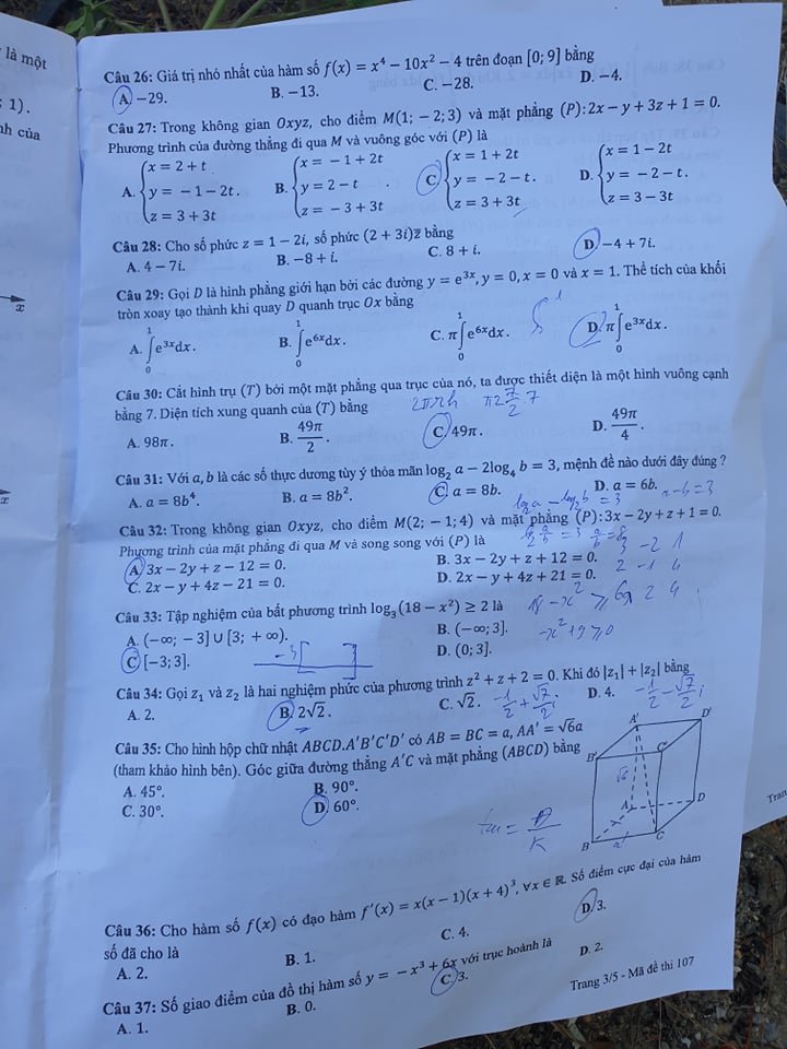 118702743_684436082153773_141246803202076435_n