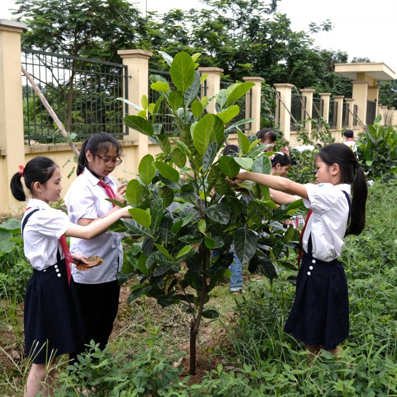 Hành động của chúng ta hôm nay không chỉ là bảo vệ môi trường sống của chính mình mà còn nhằm gìn giữ cho thế hệ tương lai