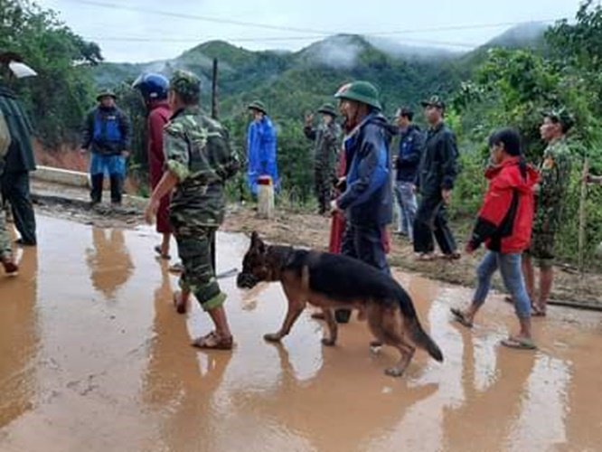Chó nghiệp vụ được đưa đến hỗ trợ công tác tìm kiếm.