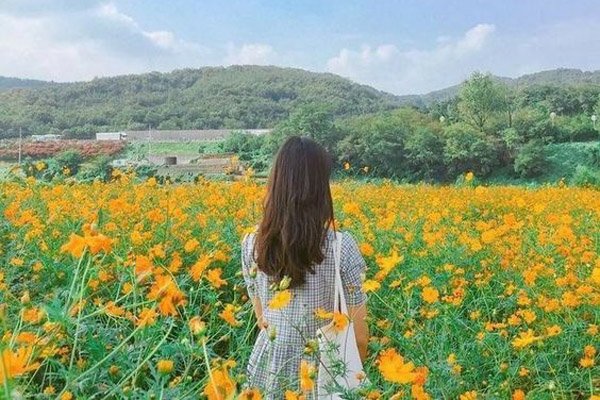 Tử vi ngày mai 3/11/2020 của 12 cung hoàng đạo: Tử vi Thiên Bình ngày 3/11/2020