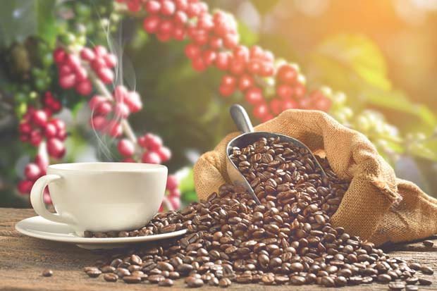 Thị trường giá nông sản hôm nay 26/2, giá cà phê Robusta, Arabica duy trì đà tăng.