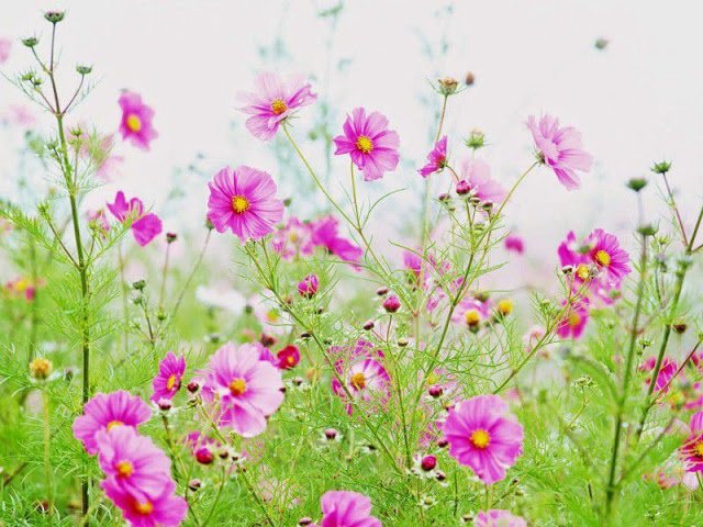 cHiYvPDLLHPjiiiNUszlKw_store_banner_image
