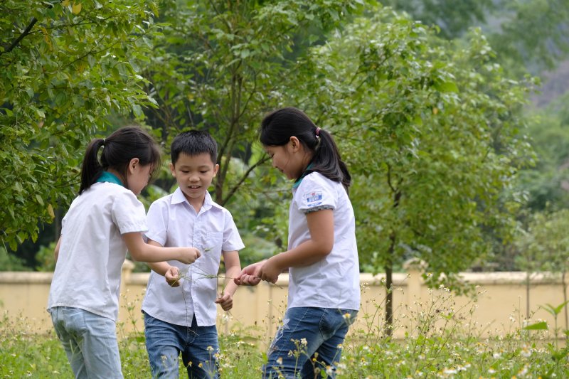 Các em học sinh đến tham quan và vui chơi bên những cây xanh do “Quỹ 1 triệu cây xanh cho Việt Nam” trồng tặng tại khu di tích lịch sử Nà Tu, Bắc Kạn