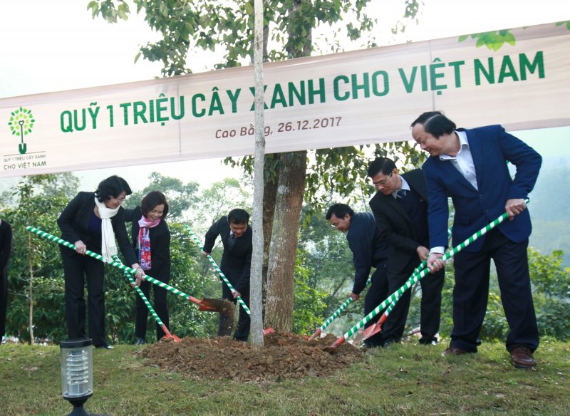 Vinamilk trao tặng hơn 80.700 cây xanh tại tỉnh Cao Bằng, ngoài trồng tại Khu di tích Quốc gia Pác Bó thì còn được giao cho người dân để trồng cây gây rừng