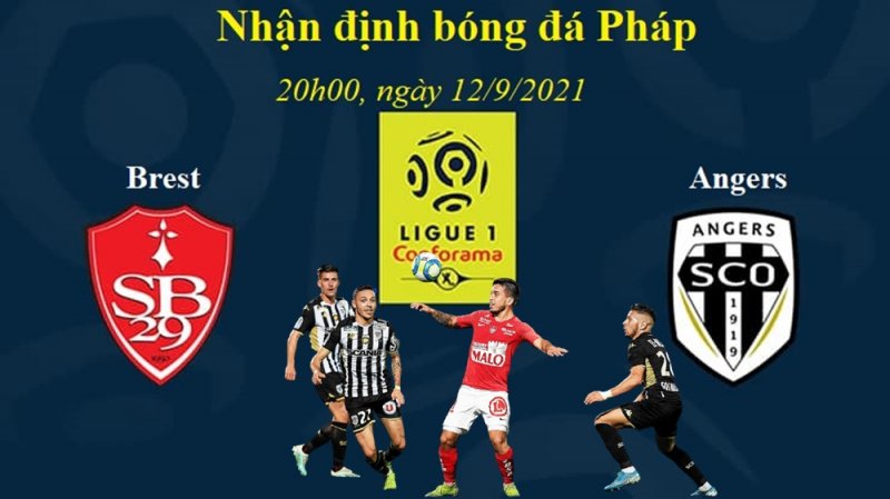 Nhận định bóng đá, soi kèo Brest vs Angers, dự đoán kết quả bóng đá Pháp trận Brest vs Angers