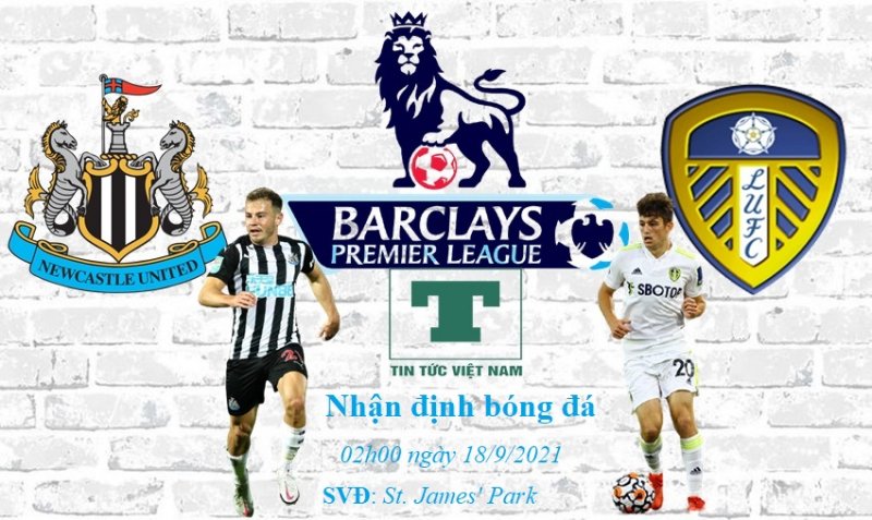 Soi kèo nhận định Newcastle vs Leeds, vòng 5 Premier League 2021/2022