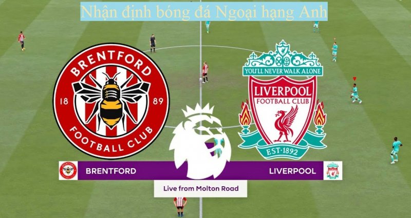 nhan-dinh-bong-da-Brentford-vs-Liverpool-23h30-ngay-25-9