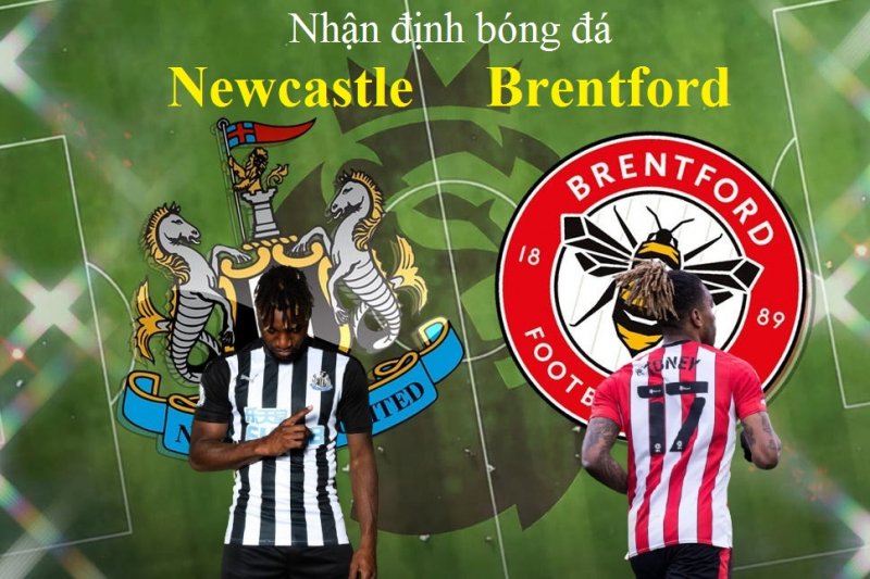 Soi kèo Newcastle vs Brentford vòng 12 giải Ngoại Hạng Anh, dự đoán kết quả bóng đá Anh