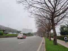 Đọc nhanh bài viết 1188954
