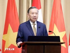 Đọc nhanh bài viết 1193743