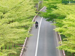 Post cover 1159854