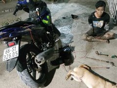 Post cover 1162544