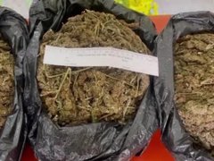 Post cover 1162931