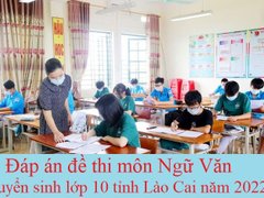Post cover 1163438