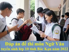 Post cover 1163690