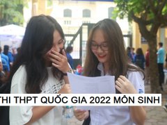 Post cover 1164830