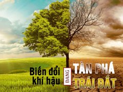 Post cover 1166260