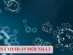 Post cover 1166276