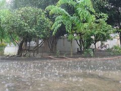 Post cover 1166664