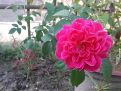 Post cover 1166785