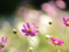 Post cover 1167051