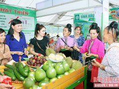 Post cover 1167072