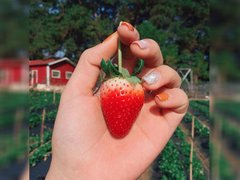 Post cover 1167155