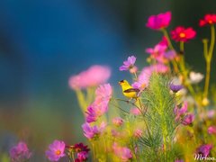 Post cover 1167464