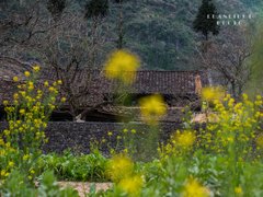 Post cover 1167513