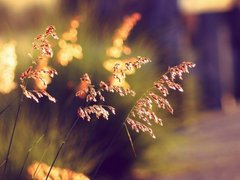 Post cover 1167567