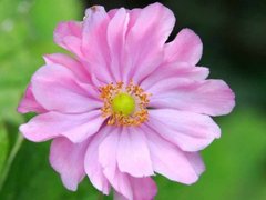 Post cover 1167568