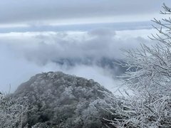 Post cover 1167952