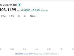 Post cover 1168566