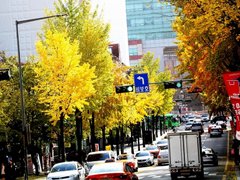 Post cover 1169094