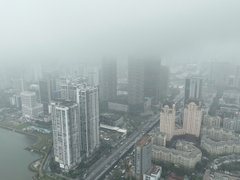 Post cover 1170549
