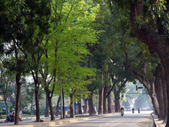 Post cover 1170637