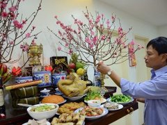 Đọc nhanh bài viết 1171576
