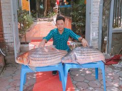 Post cover 1040369