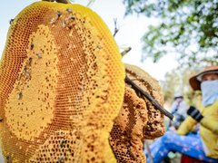 Đọc nhanh bài viết 1041616