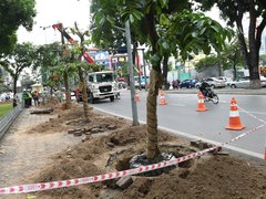 Đọc nhanh bài viết 1058598