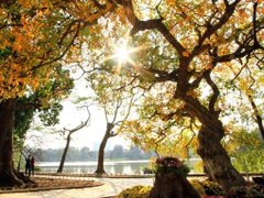 Post cover 1059226
