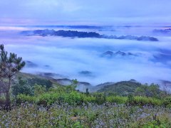 Post cover 1059406