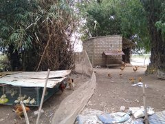 Post cover 1059645