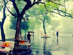 Post cover 1059854