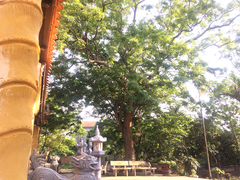 Post cover 1059852