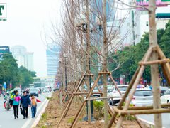 Post cover 1062466