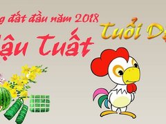 Post cover 1062477